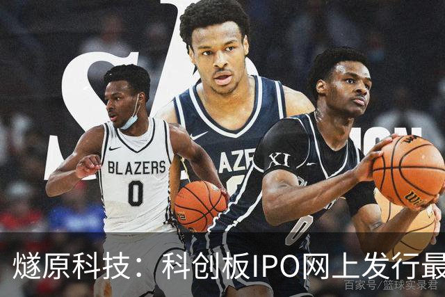 燧原科技：科创板IPO网上发行最终中签率0.02455315%