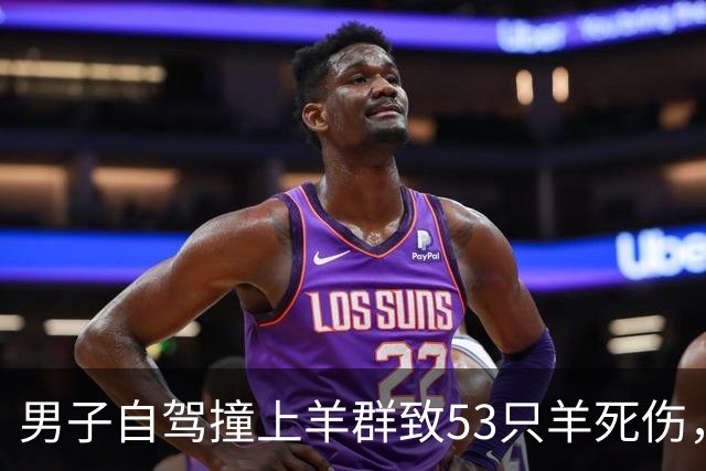 男子自驾撞上羊群致53只羊死伤，赔偿8.48万元后羊却归羊主人所有，律师解读：赔了钱，羊为什么不能带走？