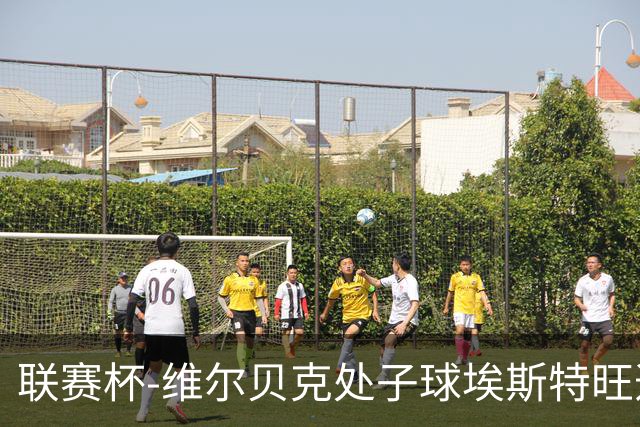 联赛杯-维尔贝克处子球埃斯特旺造乌龙 切尔西2-0晋级