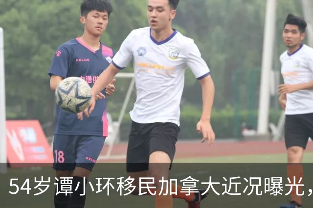54岁谭小环移民加拿大近况曝光，经营茶餐厅事事亲力亲为，面容消瘦略显苍老